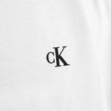 Calvin Klein Stamp Back Graphic Longsleeve J30J327317-YAF-