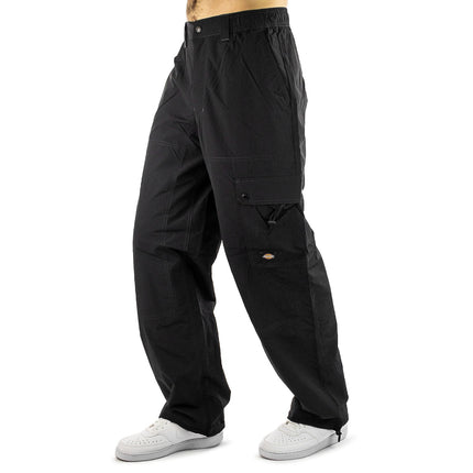 Dickies Jackson Cargo Pant Hose DK0A4YLXBLK-