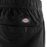 Dickies Jackson Cargo Pant Hose DK0A4YLXBLK-