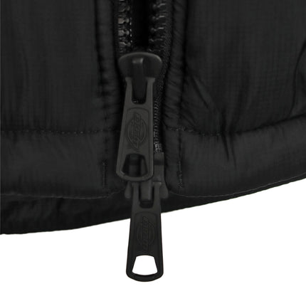 Dickies Waldenburg Winter Jacke DK0A4XP2BLK-