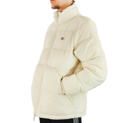 Dickies Waldenburg Winter Jacke DK0A4XP2F90-