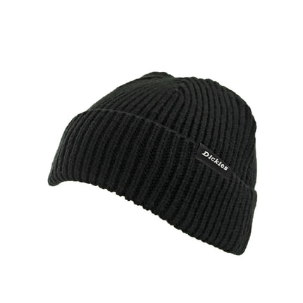 Dickies Woodworth Beanie Winter Mütze DK0A4X7YBLK1-