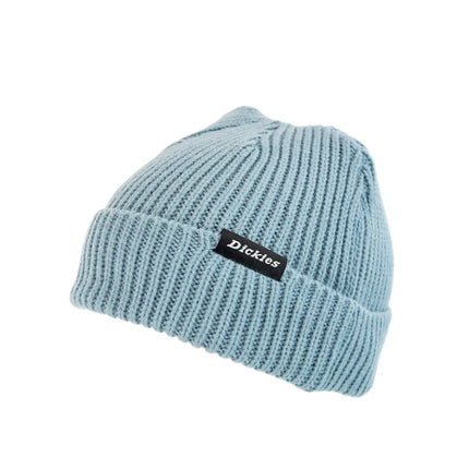 Dickies Woodworth Beanie Winter Mütze DK0A4X7YG07-