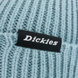 Dickies Woodworth Beanie Winter Mütze DK0A4X7YG07-