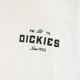 Dickies Emblem T-Shirt DK0A863E0WH1-