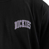 Dickies Aitkin Chest T-Shirt DK0A4Y8OG41-