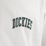 Dickies Aitkin Chest T-Shirt DK0A4Y8OJ97-