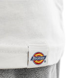 Dickies Aitkin Chest T-Shirt DK0A4Y8OJ97-