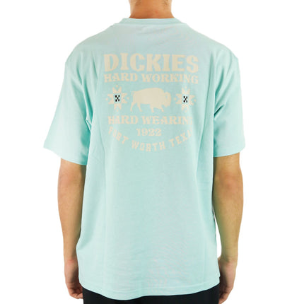 Dickies Hays T-Shirt DK0A4YGGG03-