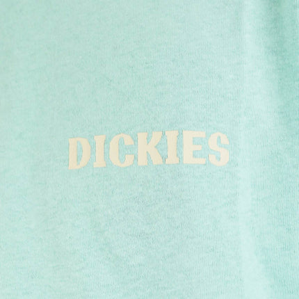 Dickies Hays T-Shirt DK0A4YGGG03-