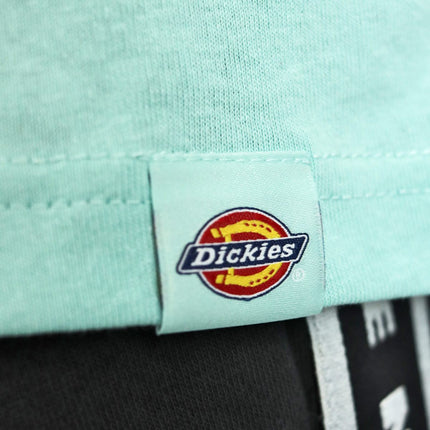 Dickies Hays T-Shirt DK0A4YGGG03-