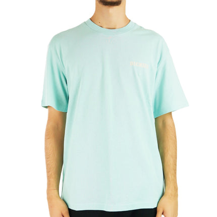 Dickies Hays T-Shirt DK0A4YGGG03-