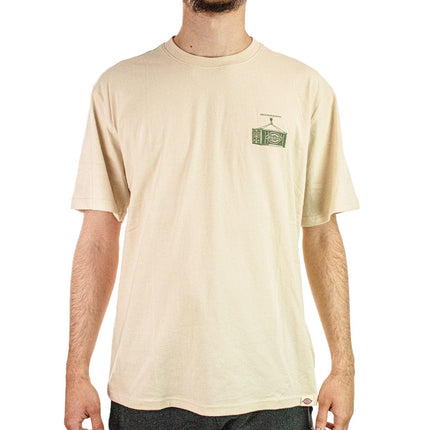 Dickies Apison T-Shirt DK0A87QML171-