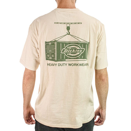 Dickies Apison T-Shirt DK0A87QML171-