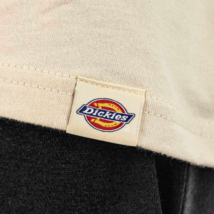 Dickies Apison T-Shirt DK0A87QML171-