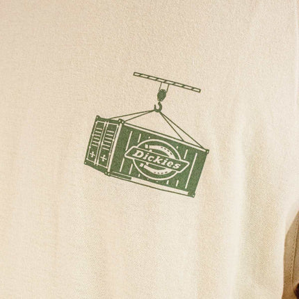 Dickies Apison T-Shirt DK0A87QML171-