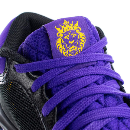 Nike Lebron Witness 8 FB2239-001-