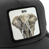 Goorin Bros. The Big Elephant Trucker Cap 101-1753-CHA-