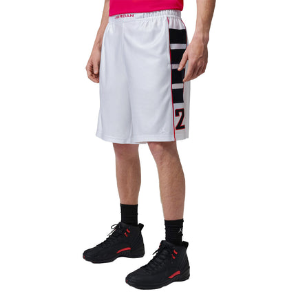 Jordan Brooklyn Cat Scratch Short HV0560-100-
