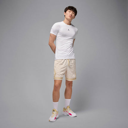 Jordan Dri-Fit Sport Compression T-Shirt HV4099-100-