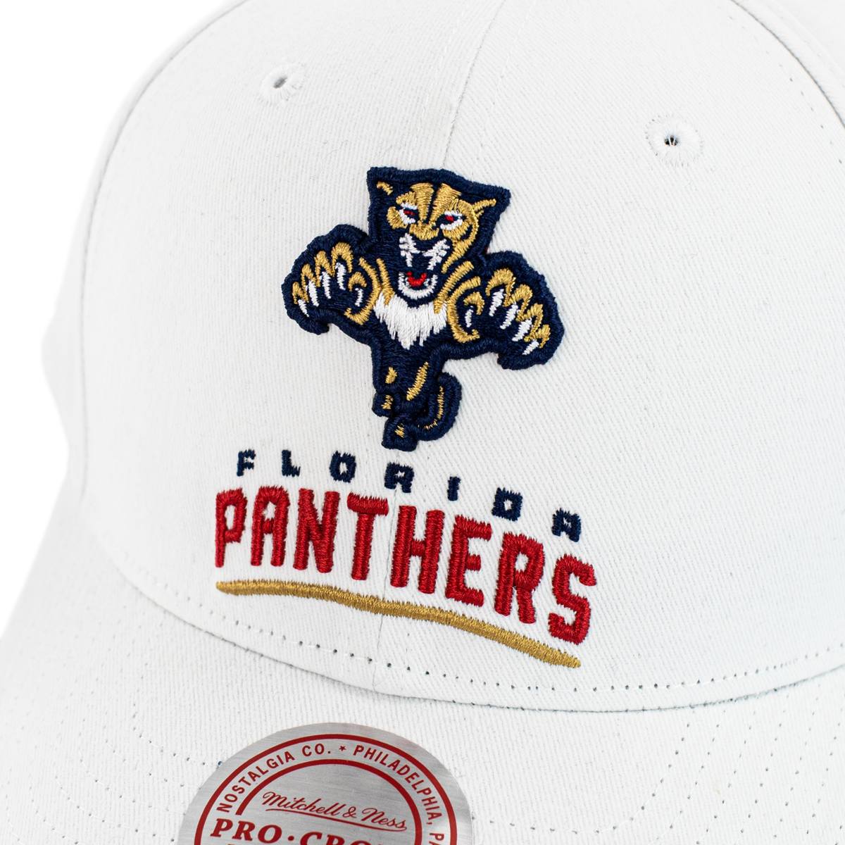 Mitchell & Ness Florida Panthers NHL All in Pro Snapback Cap HHSS5758-FPTYYPPPWHIT-