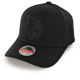 Mitchell & Ness Boston Celtics NBA Black Black Logo Classic Red Cap HHSSINTL101-BCEYYPPPBLCK - schwarz-schwarz