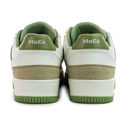 MoEa Gen1 - VBG x MoEa MOEA-BASGN1-28-