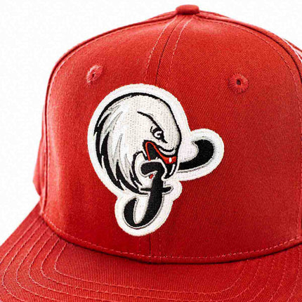 Nürnberg Falcons Falcons Snapback Cap 2022Snap-