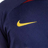 Nike Paris Saint-Germain Strike Longsleeve DX3108-499-