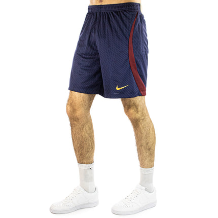 Nike Paris Saint-Germain Strike Short DX3193-498-