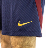 Nike Paris Saint-Germain Strike Short DX3193-498-