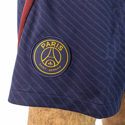 Nike Paris Saint-Germain Strike Short DX3193-498-