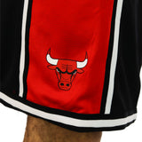 Nike Chicago Bulls NBA Dri-Fit Pre Game Short DN8272-010-