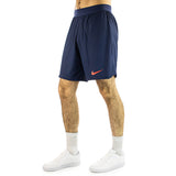 Nike Paris Saint-Germain Dri-Fit ADV Match Short DX2630-410-