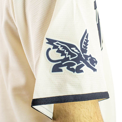 Nike Texas Rangers MLB Official Replica City Connect Jersey Trikot T770-TECC-TER-CC4-