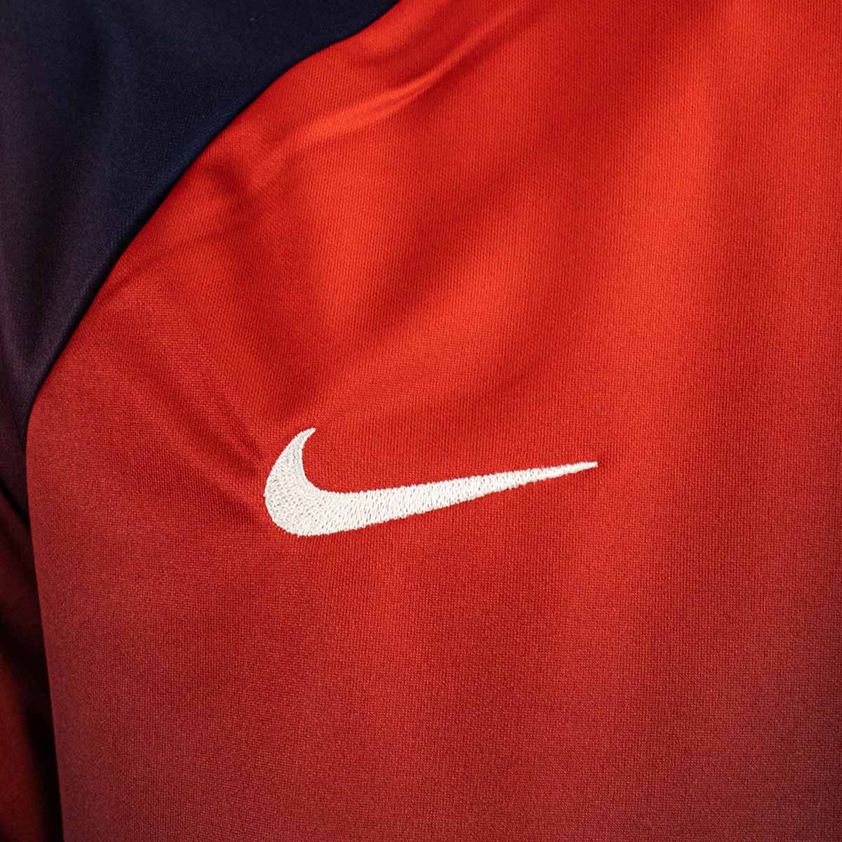 Nike Paris Saint-Germain Dri-Fit Academy Pro Trikot DX3616-411-