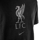 Nike FC Liverpool Soccer T-Shirt DM3482-013-