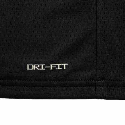 Nike Los Angeles Lakers NBA Lebron James #23 HWC Swingman Jersey Trikot EZ2B7BU8P23-LAK23-