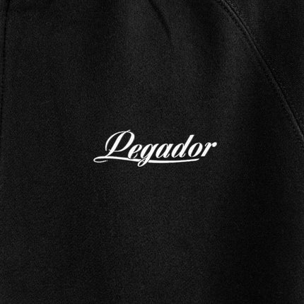 Pegador Trafford Raglan Sweat Zip Hoodie 60220424-