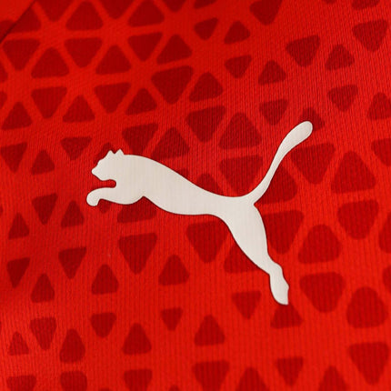 Puma AC Mailand Training Jersey Trikot 772254-12-