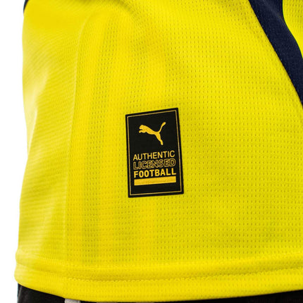 Puma Fenerbahce SK FSK Home Jersey Replica rikot 775360-01-