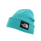 The North Face Salty Lined Beanie Winter Mütze NF0A3FJWI0T - türkis