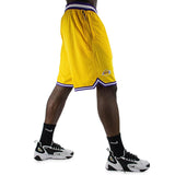 Nike Los Angeles Lakers NBA Basketball Short AV0148-728-