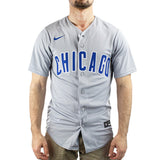 Nike Chicago Cubs MLB Official Replica Alternate Jersey Trikot T770EJGREJXVR-