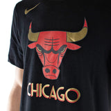 Nike Chicago Bulls NBA Essential Logo T-Shirt CT9440-010-