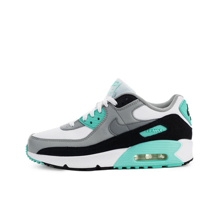 Nike Air Max 90 Leather (GS) CD6864-102-