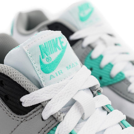 Nike Air Max 90 Leather (GS) CD6864-102-