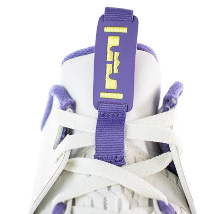 Nike Lebron Witness 5 CQ9380-102-