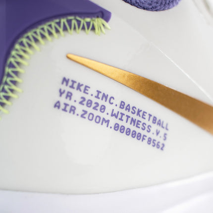 Nike Lebron Witness 5 CQ9380-102-