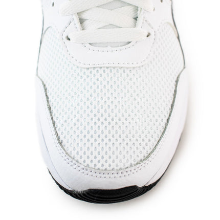 Nike Air Max SC CW4555-102-